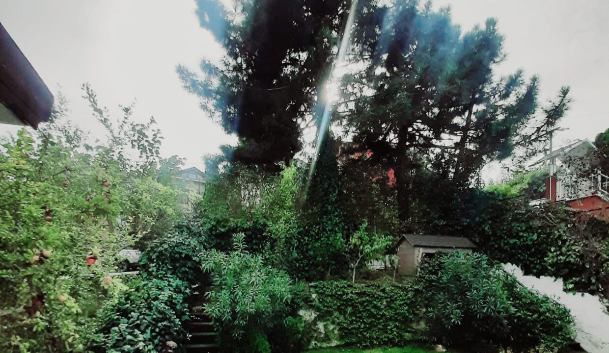 44bed728-d7ca-4aa0-88b0-2e8eeea0a603