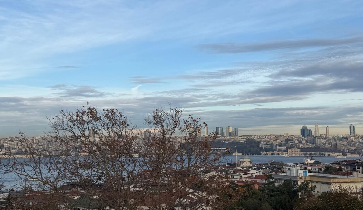 4df66889-7641-4ff8-8569-f6ba5efcd6db