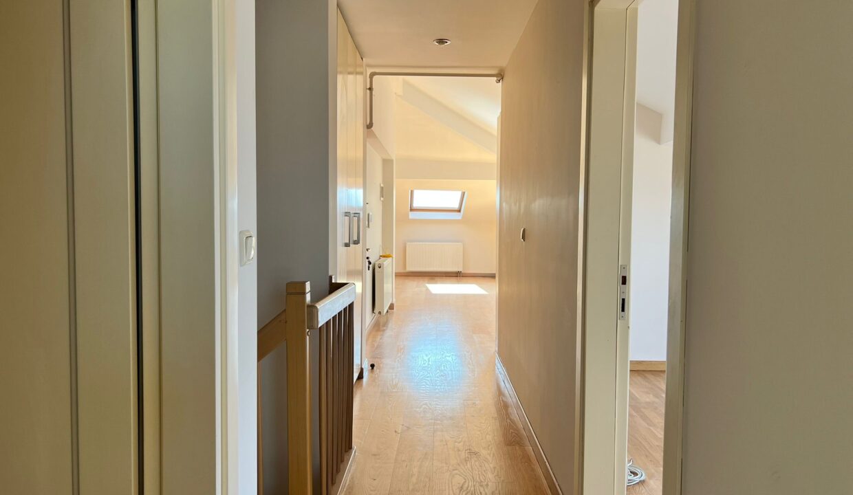 97c3d040-ea76-4d7e-8f7d-817d24536eab