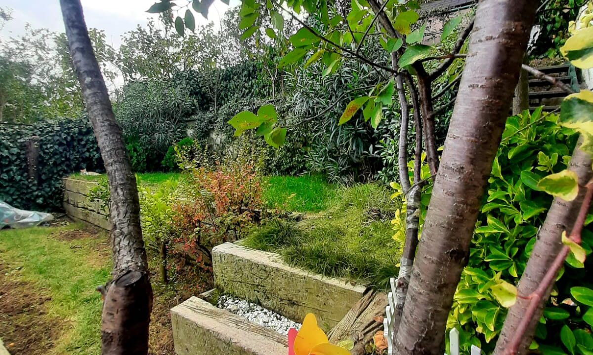 c6525678-93d2-4c14-9c63-2702c81676a0